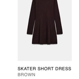 Zara Brown Skater Short Dress